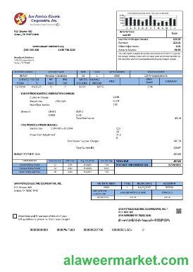 USA Texas San Patricio Electric Corporative business utility bill template in Word and PDF  formats